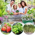 Plastic trays for growing seedlings (5 pcs.) - Image 5
