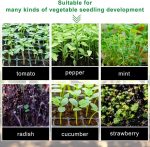 Plastic trays for growing seedlings (5 pcs.) - Image 6