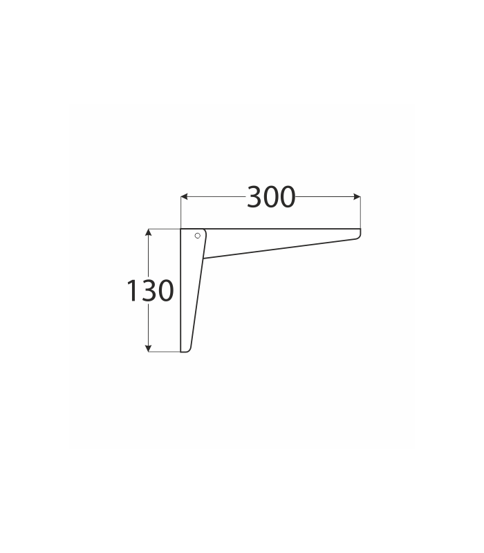 p7399-wsn-300-wspornik-bi-300x130