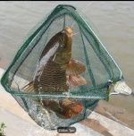 Подсак складной телескопический для рыбалки - Image 2